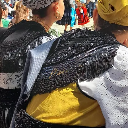 Gestiona2r - Dos Centrico En Apartament